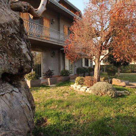 Magnolia Hotel Савиняно сул Рубиконе Екстериор снимка